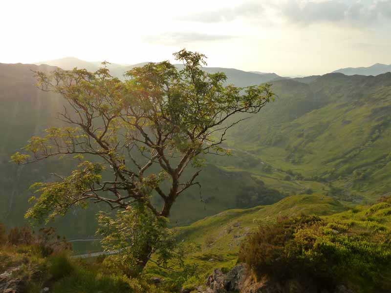 Eagle Crag